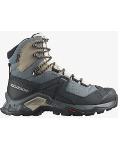 Salomon Quest Element GTX W