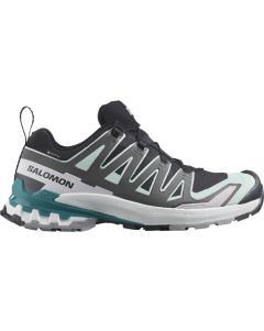 Salomon XA Pro 3D V9 GTX W