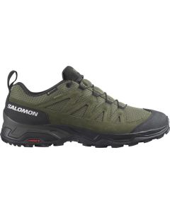 Salomon X-Ward Leather GTX
