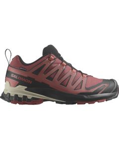 Salomon XA Pro 3D V9 GTX W