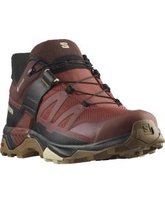 Salomon X Ultra 4 GTX