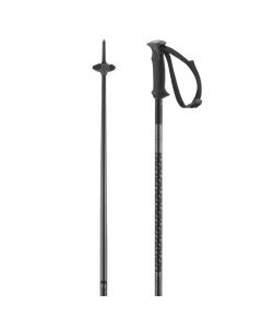 Salomon Polar
