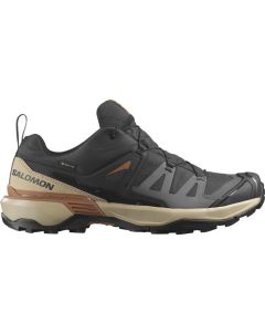 Salomon X Ultra 360 GTX