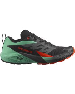 Salomon Sense Ride 5