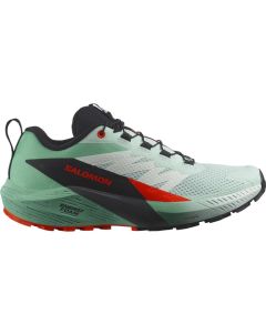 Salomon Sense Ride 5 W