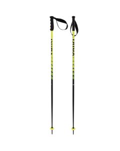 Volkl Speedstick