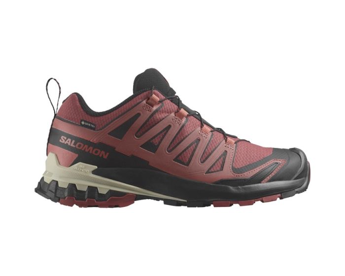 Salomon pro 3d gtx w store